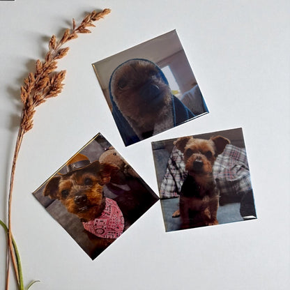 Fotomagnet 50×50 mm – individuell mit deinem Foto